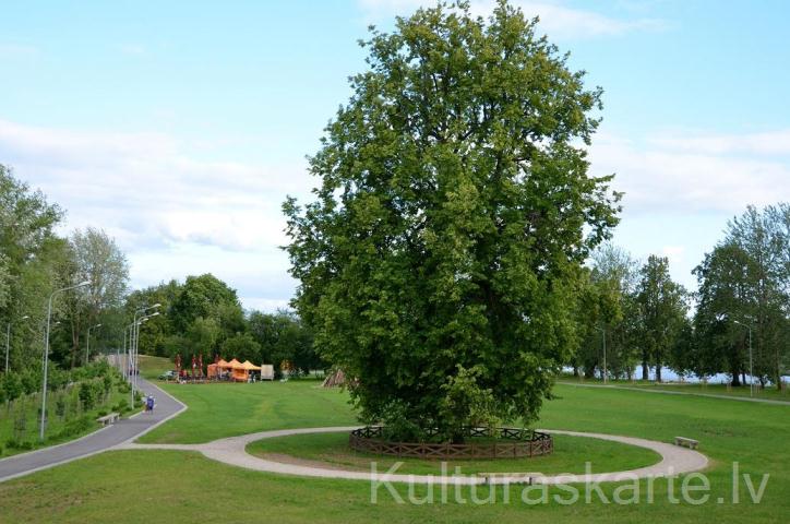 Ādamsona (Krustpils) saliņa